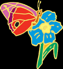 DONOR FAMILY NETWORK